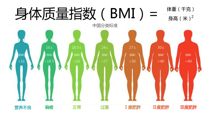 BMI图片